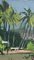 Robert Humblot, Dusk on Schoelcher Lagoon Martinica, 1959, olio su tela, con cornice, Immagine 10