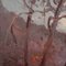 Antonio Pecoraro, Landschaftsmalerei, Öl auf Leinwand, gerahmt 6