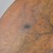 Antique Carved Table with Burl Veneer, 1800s, Image 6