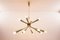 Mid-Century 12-Arm Chandelier from Stilnovo, 1950s 3