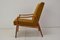 Mid-Century Armchair, Czechoslovakia, 1960s 6