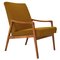 Fauteuil Mid-Century, Tchécoslovaquie, 1960s 1