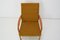 Mid-Century Armchair, Czechoslovakia, 1960s 10