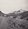 Hanna Seidel, Bolivia, Alpacas, 1960s, Black & White Photography 1