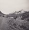 Hanna Seidel, Bolivia, Alpacas, 1960s, Black & White Photography, Image 1