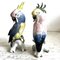 Porcelain Cockatoos by Karl Ens, Set of 2, Image 1