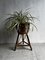 Vintage Bamboo Plant Stand 3