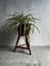 Vintage Bamboo Plant Stand 12