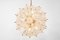 Stunning Floral Glass and Brass Sputnik Chandelier, Germany, 1960s, Image 7