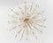 Stunning Floral Glass and Brass Sputnik Chandelier, Germany, 1960s, Image 3