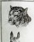 Schellenberg, Animal Images, 18th Century, Print, Framed, Image 4