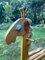 Vintage Leather & Pinewood Giraffe Rocking Horse, 1970s, Image 8