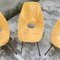 Vintage Italian Medea Chairs by Vittorio Nobili for Tagliabue, Set of 6, Image 4