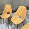 Vintage Italian Medea Chairs by Vittorio Nobili for Tagliabue, Set of 6, Image 3