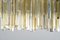 Chandelier in Murano Glass from Venini, Italy, 1960s 7