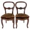French Napoleon III Exotic Wood & Velvet Chairs, Late 19th Century, Set of 2 1