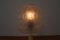Mid-Century Table Lamp from Jilove U Decina, 1960s, Image 9