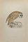 Alexander Francis Lydon, White Owl, Woodcut Print, 1870 1