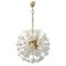 Mid-Century Brass and Crystal Sputnik Chandelier attributed to Val Saint Lambert, 1960s, Image 1
