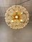 Mid-Century Brass and Crystal Sputnik Chandelier attributed to Val Saint Lambert, 1960s 5