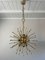 Mid-Century Brass and Crystal Sputnik Chandelier attributed to Val Saint Lambert, 1960s 7