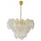 Vintage Murano Glass Leaf Chandelier, 1970s, Image 1