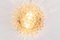 Large German Amber Sconce in Bubble Glass by Helena Tynell, 1960s, Image 8