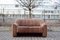 Vintage DS-44 Neck Leather Sofa from De Sede, 1970s 1