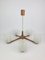Teak and Glass Chandelier from Temde, 1960s, Image 1