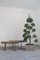 Italian Benches in Fir, 1950s, Set of 2, Image 6