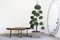 Italian Benches in Fir, 1950s, Set of 2, Image 5