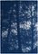 Kind of Cyan, Forest Silhouette Sunset, 2021-2022, Cyanotype on Paper, Imagen 3
