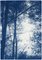 Kind of Cyan, Forest Silhouette Sunset, 2021-2022, Cyanotype on Paper, Image 4