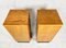 Mid-Century Functionalist Chest of Drawers from Up Zavody Rousinov, 1960s, Set of 2 10