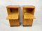 Mid-Century Functionalist Chest of Drawers from Up Zavody Rousinov, 1960s, Set of 2 2