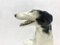 Art Deco Borzoi Greyhound Statue in Porcelain from Royal Dux Bohemia, Czechoslovakia, 1920s 4