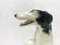 Art Deco Borzoi Greyhound Statue in Porcelain from Royal Dux Bohemia, Czechoslovakia, 1920s, Image 4