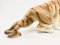 Pottery Tiger Figurine by Royal Dux Bohemia, 1960s, Image 8