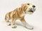 Pottery Tiger Figurine by Royal Dux Bohemia, 1960s, Image 6