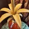 Lampada da tavolo a forma di palma o ananas in rame e vetro colorato, anni '60, Immagine 4