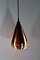 Danish Coronell Pendant Lamp, 1970s 5