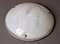 Ceiling or Wall Lamp in Marble Glass, 1960s or 1970s, Image 1