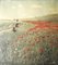 Carta fotografica After Merte, Poppies in the Field, anni '20, Immagine 1