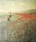 After Merte, Poppies in the Field, 1920s, Papier Photographique 11