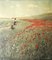 Nach Merte, Poppies in the Field, 1920er, Fotopapier 11