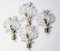 Iris Crystal Flowers in the style of Oswald Haerdtl for Lobmeyr, 1950s 1
