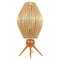 Schwedische Mid-Century Tischlampe aus Teak & Rattan, 1950er 1