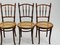 19th Century Chairs with Canage from Thonet, Set of 4 6
