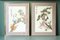 Mid Century Asian Embroidered Textile Pictures of Peacock and Heron, 1960s, Set of 2 1