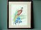 Chinese Artist, Birds, 1910s, Paintings on Rice Paper, Framed, Set of 2 3